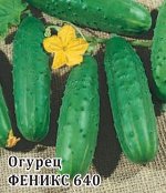 Огурец Феникс  25,0 г