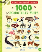 Иллюстрированный словарь