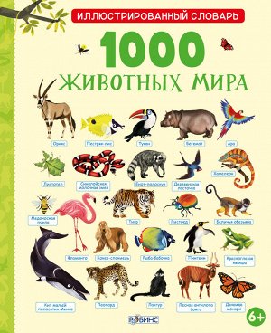 Иллюстрированный словарь