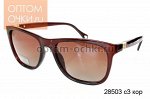 POLARISED+POLAR sports_2017