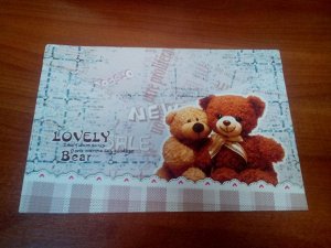 Папка-конверт на липучке "Медведи"