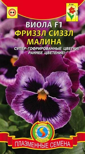 Виола Фриззл Сиззл F1 Малина (супергофрированные крупные цветки, компактная, НОВАЯ РАСЦВЕТКА)