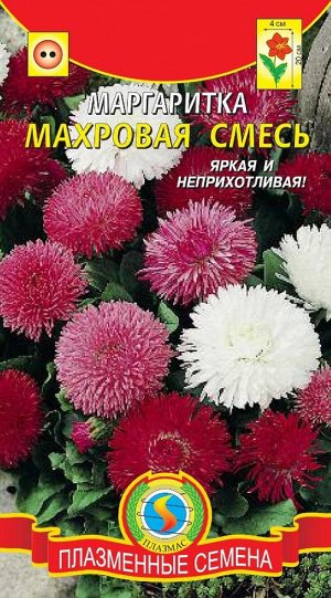 Маргаритка махровая Смесь