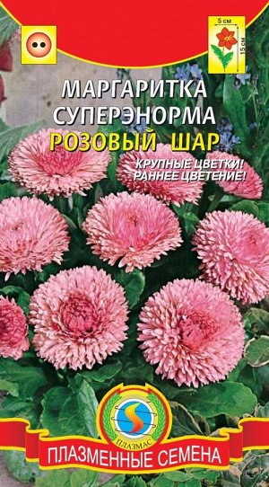 Маргаритка СуперЭнорма Розовый шар (морозоустойчивое низкорослое растение (высотой до 15 см), с крупными цветками)