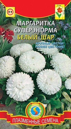 Маргаритка СуперЭнорма Белый шар (морозоустойчивое низкорослое растение (высотой до 15 см), с крупными цветками)