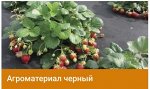 Агроматериал