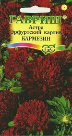 Астра Эрфуртский карлик Кармезин, однолетняя (красная) 0,3 г