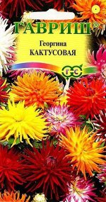 Георгина Кактусовидная, смесь 0,2 г