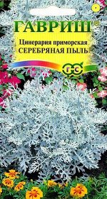 Цинерария Серебряная пыль (приморская)* 0,1 г