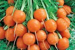 Морковь Парижская каротель 1 г