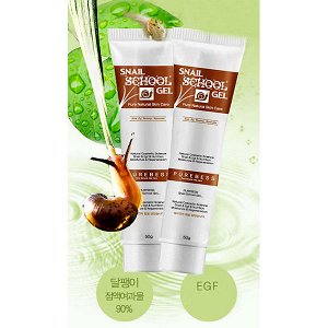 PUREBESS Гель с экстрактом слизи улитки Snail School Gel