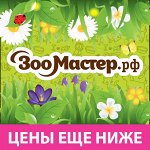 *-41- *Наполнители, Пеленки, Аксессуары *