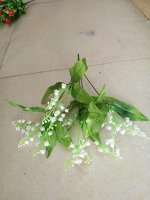 цветы