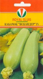 КАБАЧОК искандер
