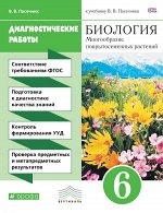 6 класс