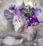 Картины стразами: кошка
