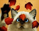 Картины стразами: котик