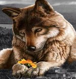 Картины стразами: волк