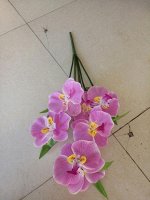 цветы
