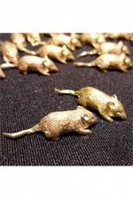 МЫШКА КОШЕЛЬКОВАЯ К ДЕНЬГАМ