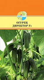 ОГУРЕЦ