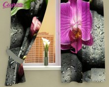 Фотошторы "Орхидея на камнях"