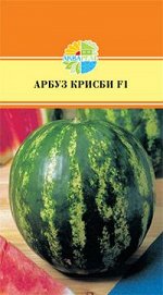 Арбуз