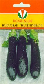 5 заказов+1