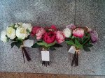 Пион букет, 8 шт., (6 открытых + 2 закрытых бутона)