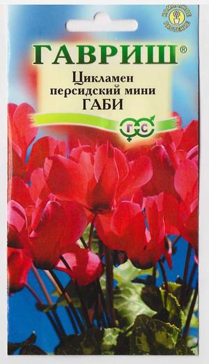 Цикламен Габи (Код: 4679)