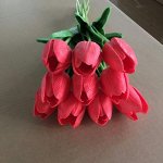 Тюльпан закрытый