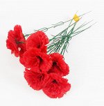 Гвоздика одиночная