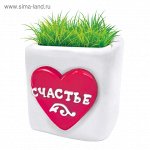 Прорастайка в полистоуне стаканчик &quot;Счастье&quot;, 7 х 7 х 6 см 1006568