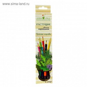 Растущие карандаши "Green Stick "Пряные травы", набор 6 шт., цветные   1510791