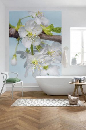 Blossom 184 x 248 cm на флизелиновой основе