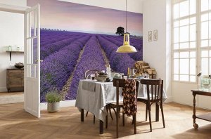 Provence 368 x 248 cm на флизелиновой основе