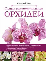 Зайцева И.