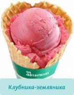 Клубника- земляника Баночка 450 гр