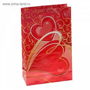 Ес3308 1163782--Пакет ламинат вертикальный "Любящее сердце" 16,5*26,5*7 см.