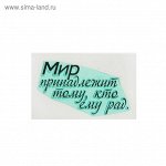 Состав: Полимер