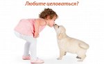 Антигельминтные