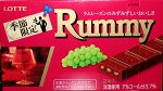Вкуснейший шоколад с ромовой пропиткой и изюмом!