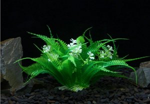 Растение для аквариума