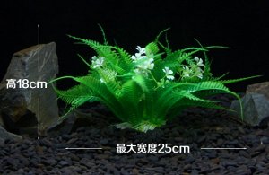 Растение для аквариума