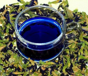 Тайский cиний чай Анчан Blue Pea Tea (Butterfly Pea)