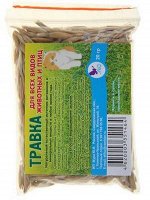 Семена &quot;Травка для проращивания&quot;