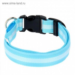 Ошейник с подсветкой, зарядка от USB, до 38 см, 3 режима свечения, голубой