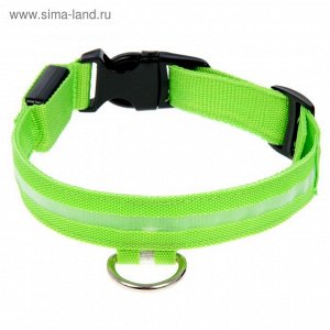Ошейник с подсветкой, зарядка от USB, до 58 см, 3 режима свечения, зеленый
