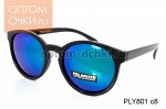 POLARIZED_2017