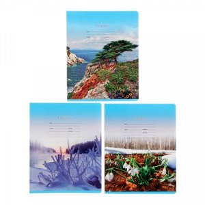 Тетрадь 12 листов линейка "Seasons", картонная обложка, МИКС